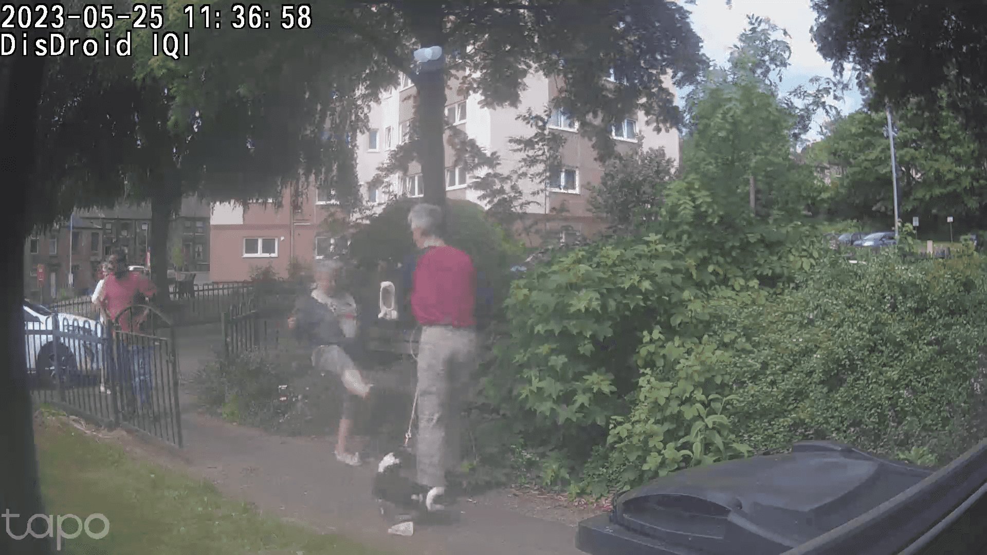 Nonce attacks dog