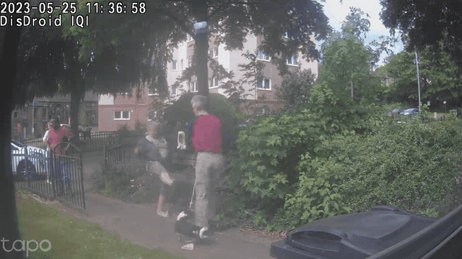 Nonce attacks dog